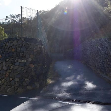 Complejo Rural Pajar De Bento Apartment Agulo Exterior foto